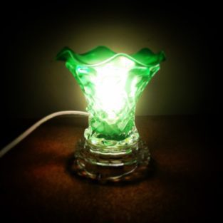 Green Standard Electric Wax Melt Warmer