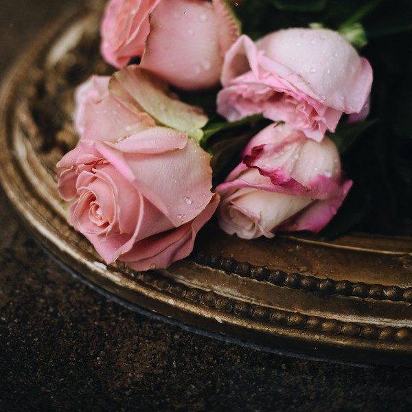 Welcome to Jojo's Candle Company feminineflorals