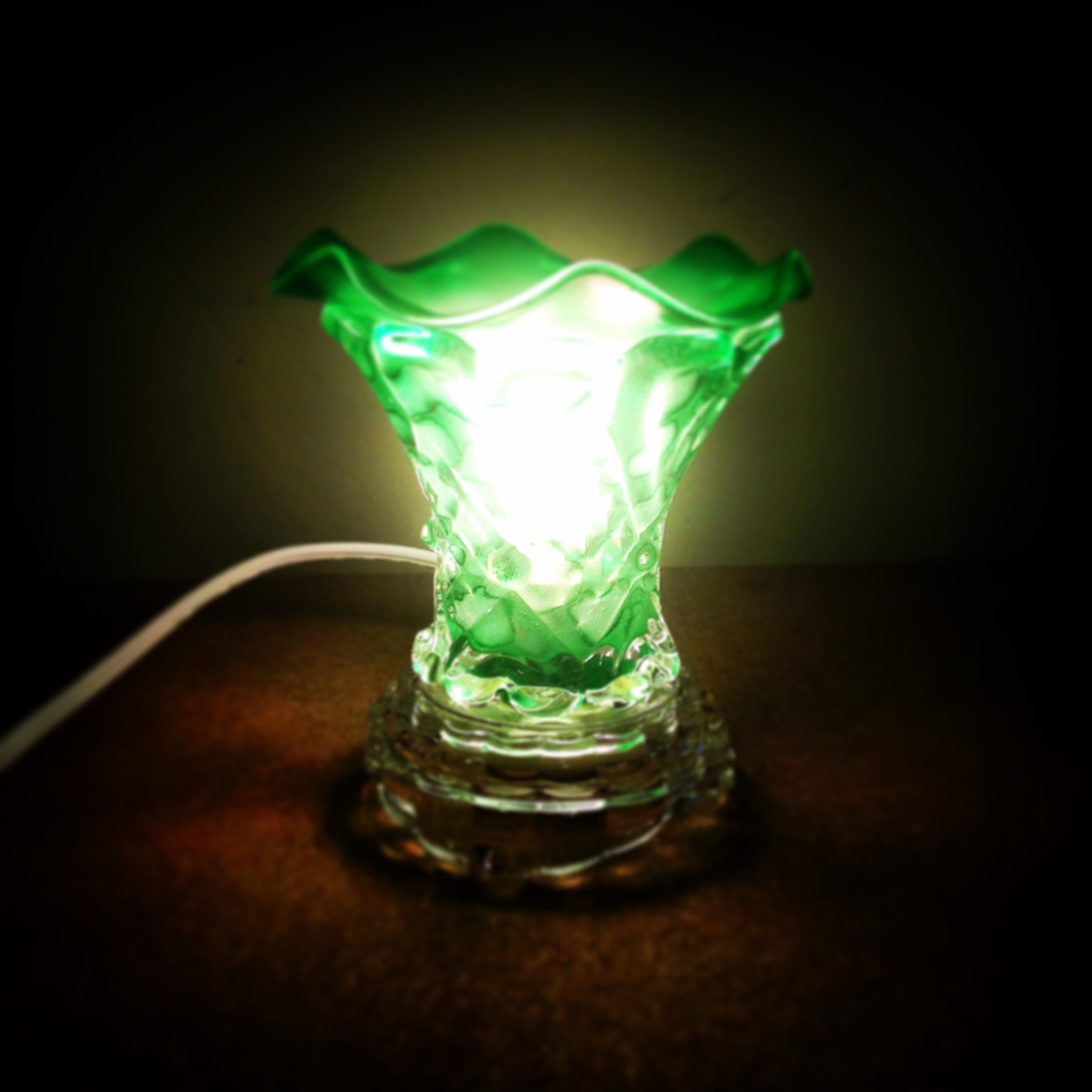 Green Standard Electric Wax Melt Warmer Green Standard Electric Wax Melt Warmer