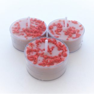 Welcome to Jojo's Candle Company snickerdoodle soy tea light candles